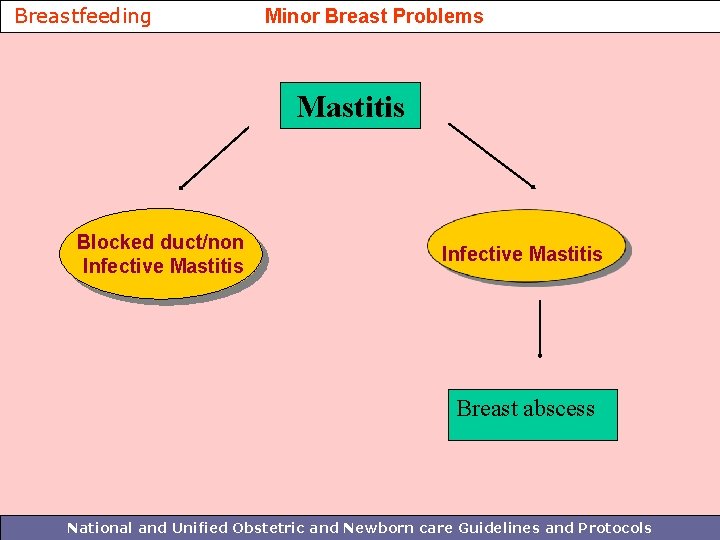Breastfeeding Minor Breast Problems Mastitis Blocked duct/non Infective Mastitis Breast abscess National and Unified