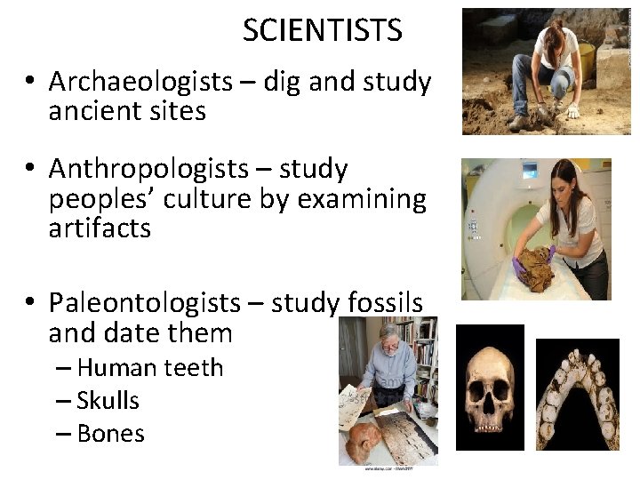 SCIENTISTS • Archaeologists – dig and study ancient sites • Anthropologists – study peoples’