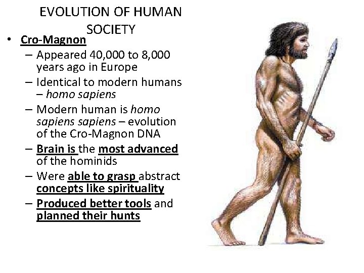 EVOLUTION OF HUMAN SOCIETY • Cro-Magnon – Appeared 40, 000 to 8, 000 years