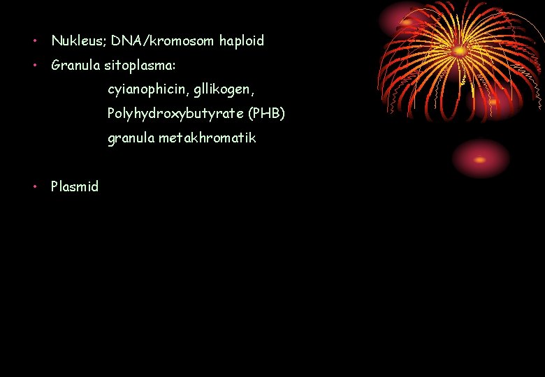  • Nukleus; DNA/kromosom haploid • Granula sitoplasma: cyianophicin, gllikogen, Polyhydroxybutyrate (PHB) granula metakhromatik