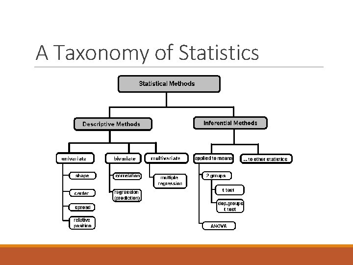 A Taxonomy of Statistics 
