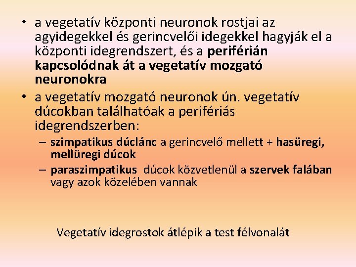  • a vegetatív központi neuronok rostjai az agyidegekkel és gerincvelői idegekkel hagyják el
