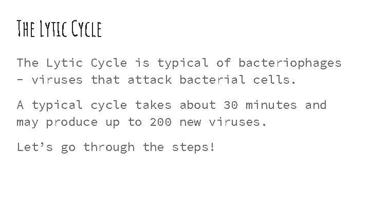 The Lytic Cycle is typical of bacteriophages - viruses that attack bacterial cells. A
