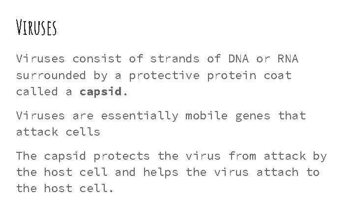 Viruses consist of strands of DNA or RNA surrounded by a protective protein coat