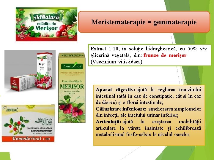 Meristematerapie = gemmaterapie Extract 1: 10, în soluţie hidroglicerică, cu 50% v/v glicerină vegetală,
