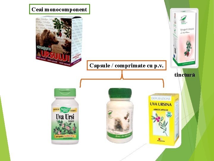 Ceai monocomponent Capsule / comprimate cu p. v. tinctură 