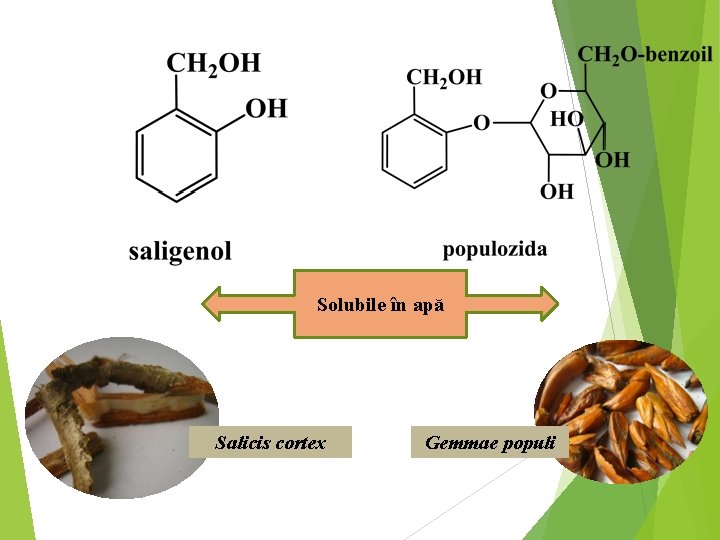 Solubile în apă Salicis cortex Gemmae populi 