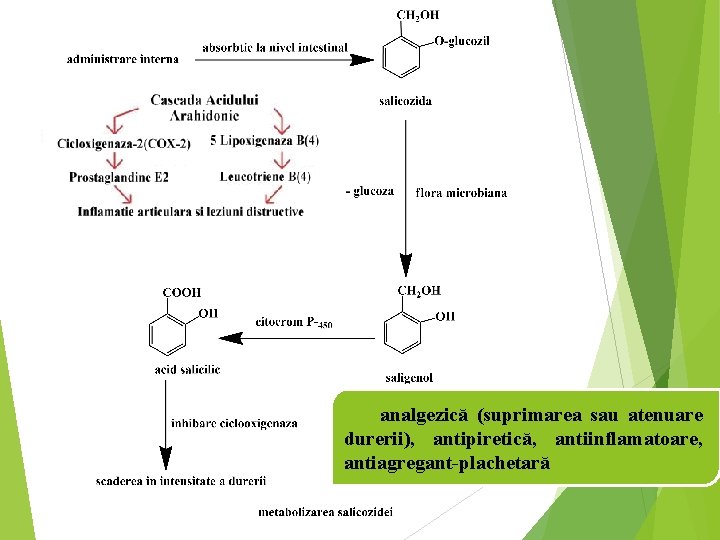 analgezică (suprimarea sau atenuare durerii), antipiretică, antiinflamatoare, antiagregant-plachetară 