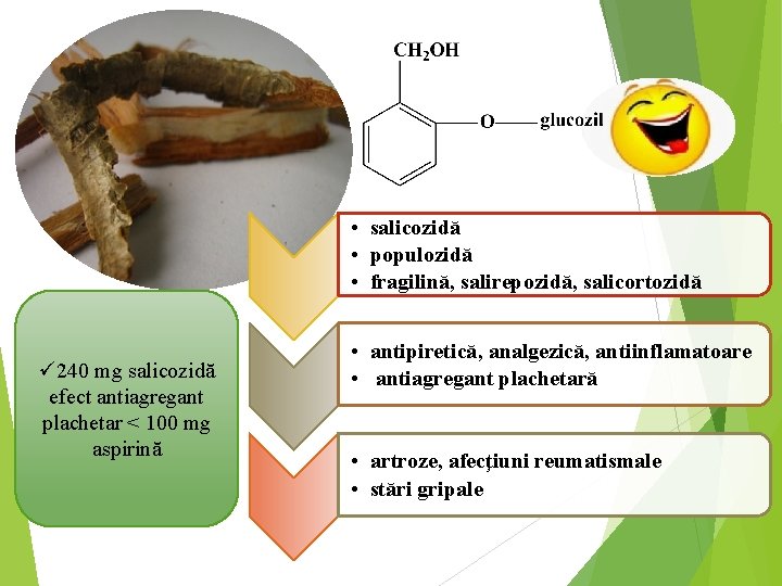  • salicozidă • populozidă • fragilină, salirepozidă, salicortozidă ü 240 mg salicozidă efect