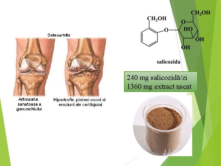 240 mg salicozidă/zi 1360 mg extract uscat 