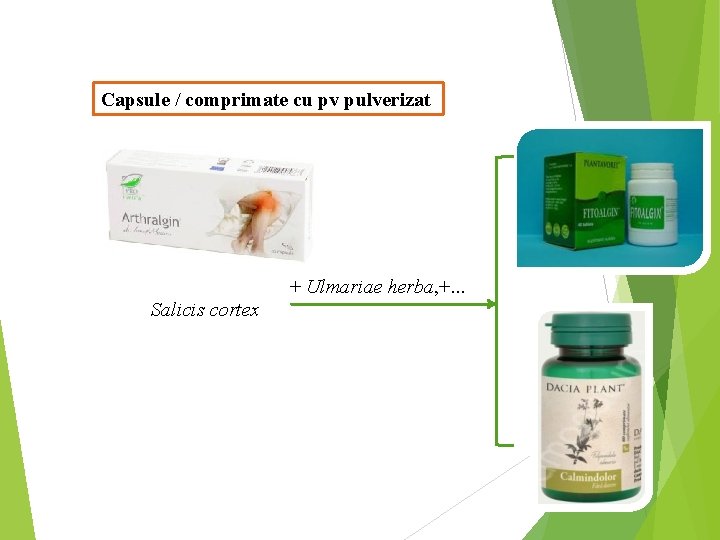 Capsule / comprimate cu pv pulverizat + Ulmariae herba, +. . . Salicis cortex