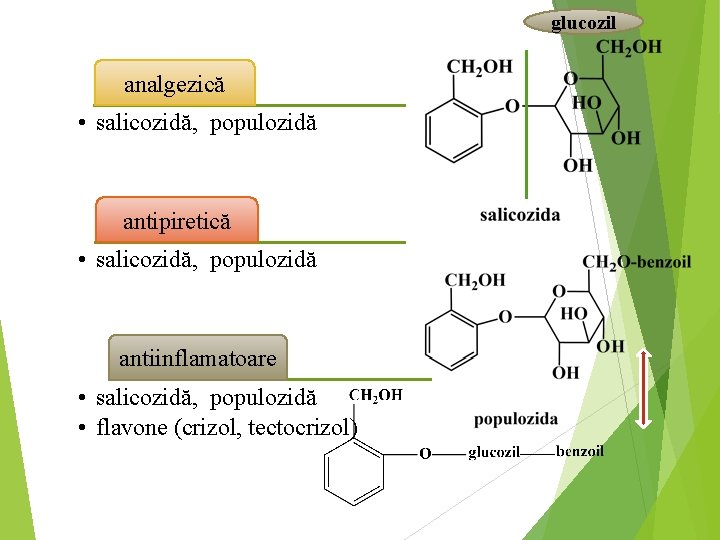 glucozil analgezică • salicozidă, populozidă antipiretică • salicozidă, populozidă antiinflamatoare • salicozidă, populozidă •