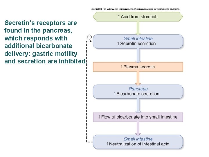 Secretin’s receptors are found in the pancreas, which responds with additional bicarbonate delivery: gastric