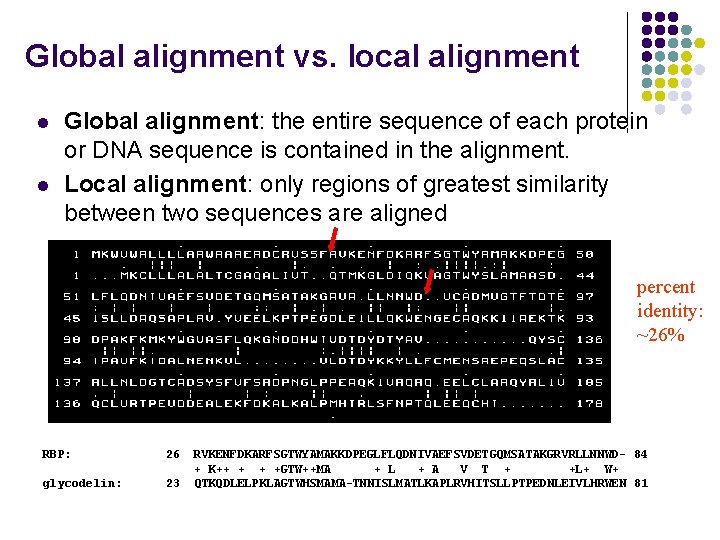 Global alignment vs. local alignment l l Global alignment: the entire sequence of each