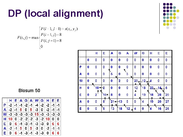 DP (local alignment) Blosum 50 
