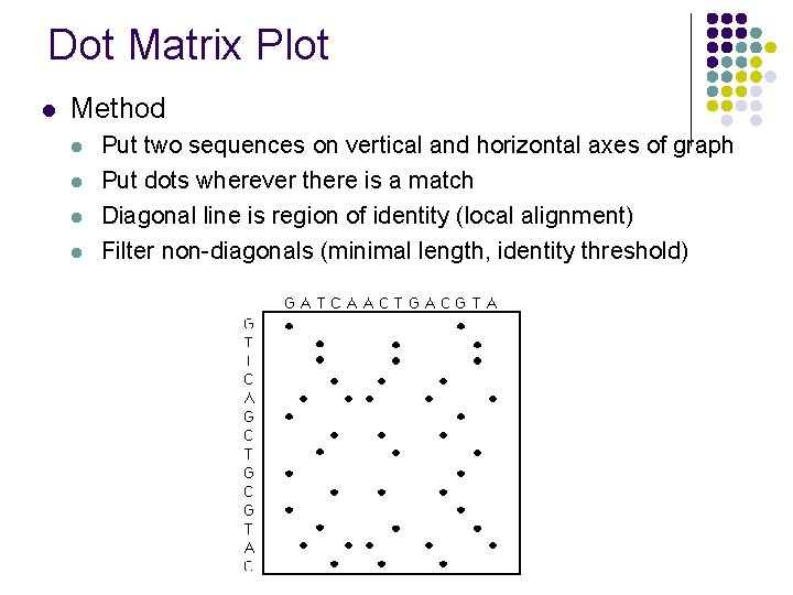 Dot Matrix Plot l Method l l Put two sequences on vertical and horizontal