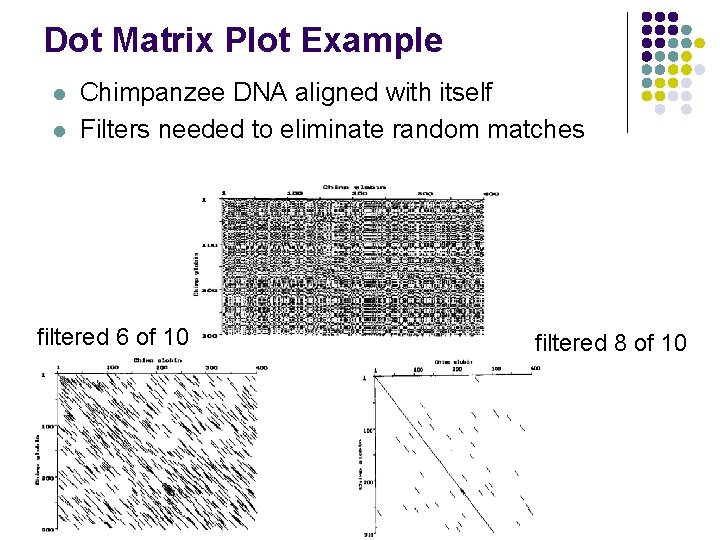 Dot Matrix Plot Example l l Chimpanzee DNA aligned with itself Filters needed to