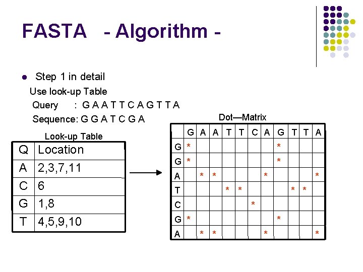 FASTA - Algorithm l Step 1 in detail Use look-up Table Query : GAATTCAGTTA