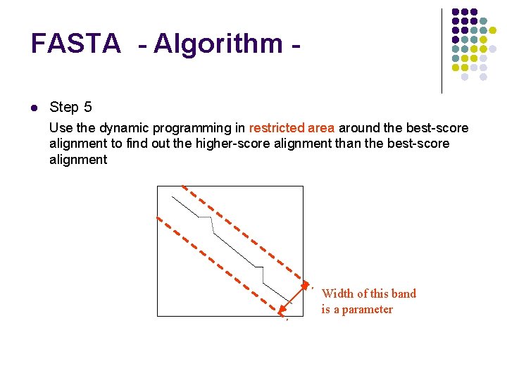 FASTA - Algorithm l Step 5 Use the dynamic programming in restricted area around