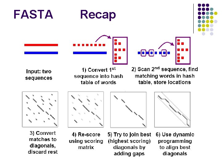 FASTA Recap 