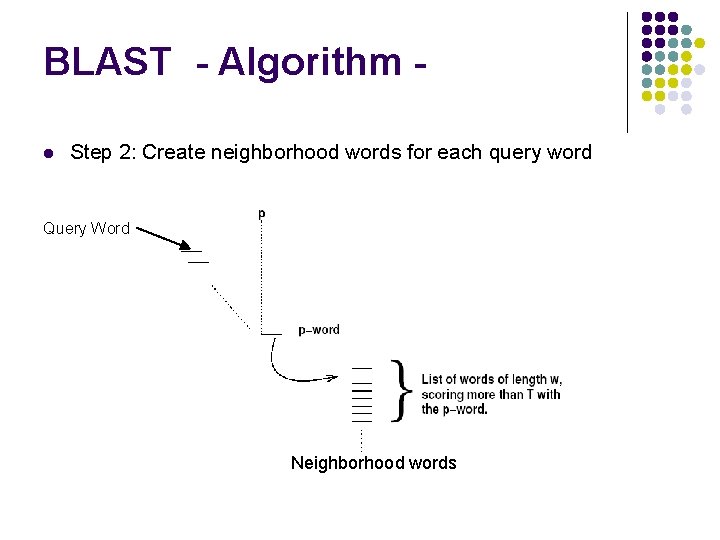 BLAST - Algorithm l Step 2: Create neighborhood words for each query word Query