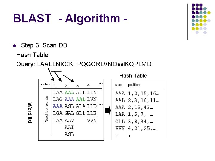 BLAST - Algorithm l Step 3: Scan DB Hash Table Query: LAALLNKCKTPQGQRLVNQWIKQPLMD Hash Table
