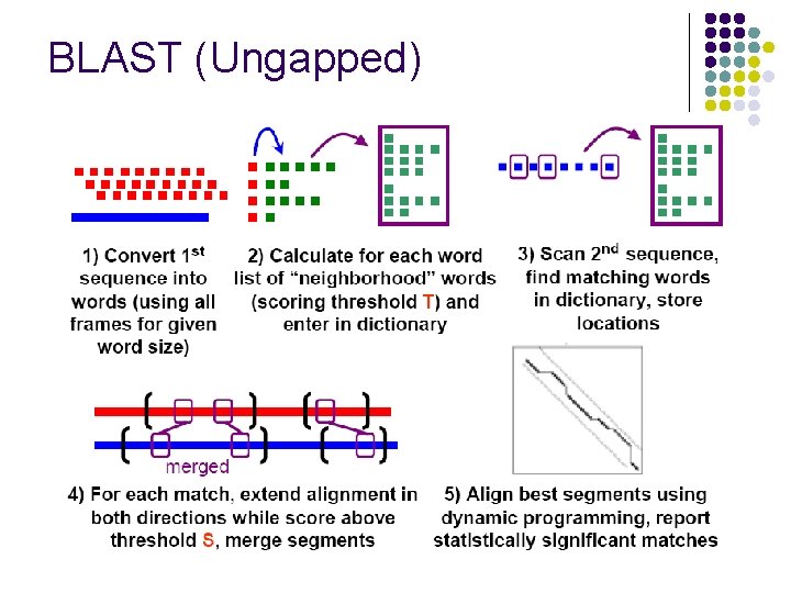 BLAST (Ungapped) 