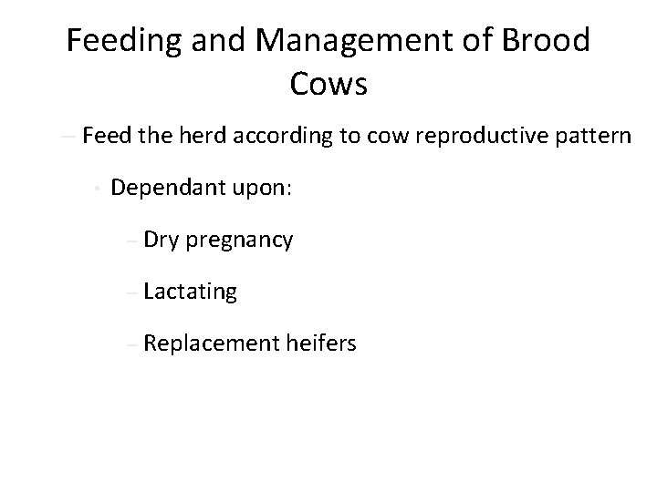 Feeding and Management of Brood Cows – Feed the herd according to cow reproductive