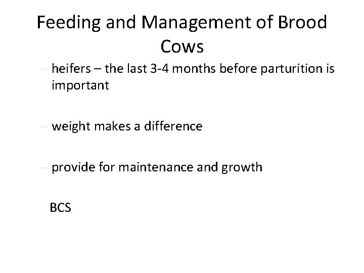 Feeding and Management of Brood Cows – heifers – the last 3 -4 months
