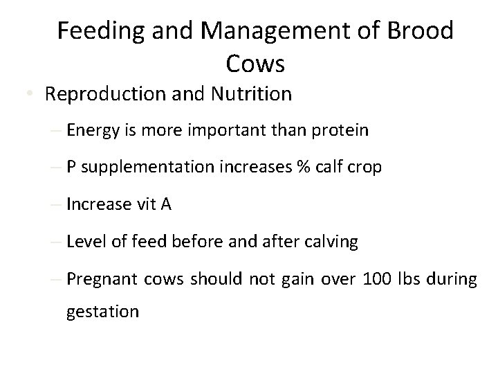 Feeding and Management of Brood Cows • Reproduction and Nutrition – Energy is more