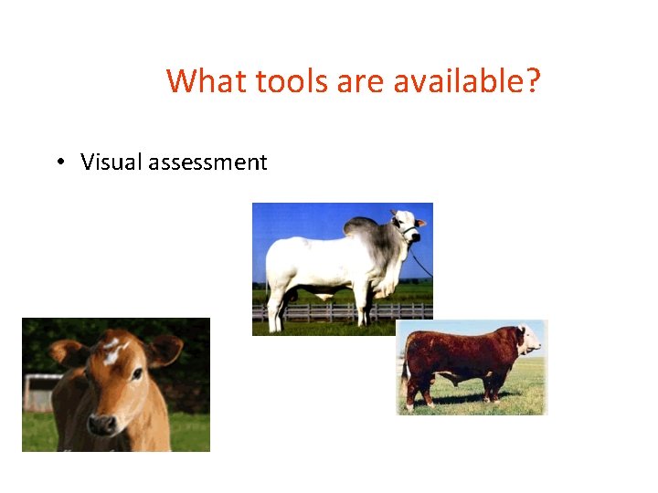 What tools are available? • Visual assessment 