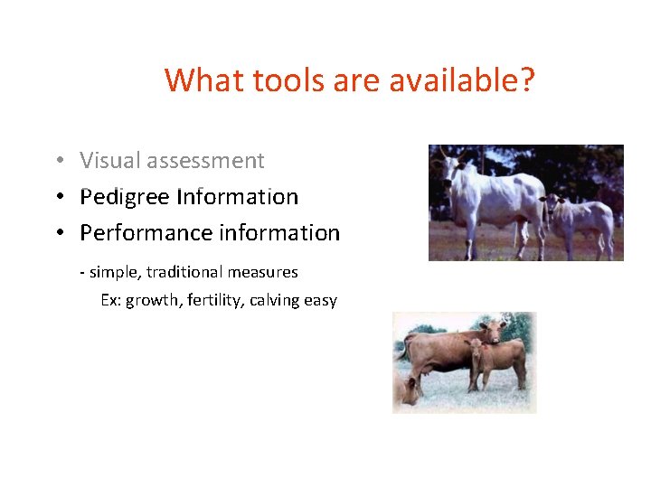 What tools are available? • Visual assessment • Pedigree Information • Performance information -