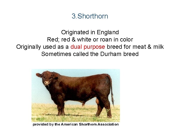 3. Shorthorn Originated in England Red; red & white or roan in color Originally