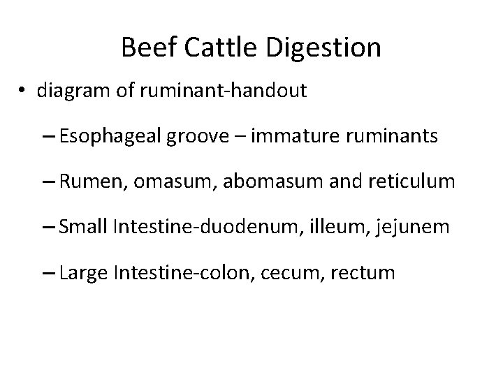 Beef Cattle Digestion • diagram of ruminant-handout – Esophageal groove – immature ruminants –