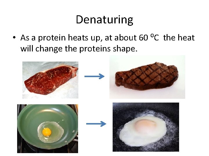 Denaturing • As a protein heats up, at about 60 ⁰C the heat will