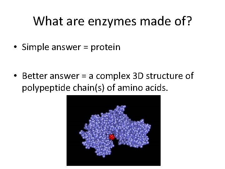 What are enzymes made of? • Simple answer = protein • Better answer =