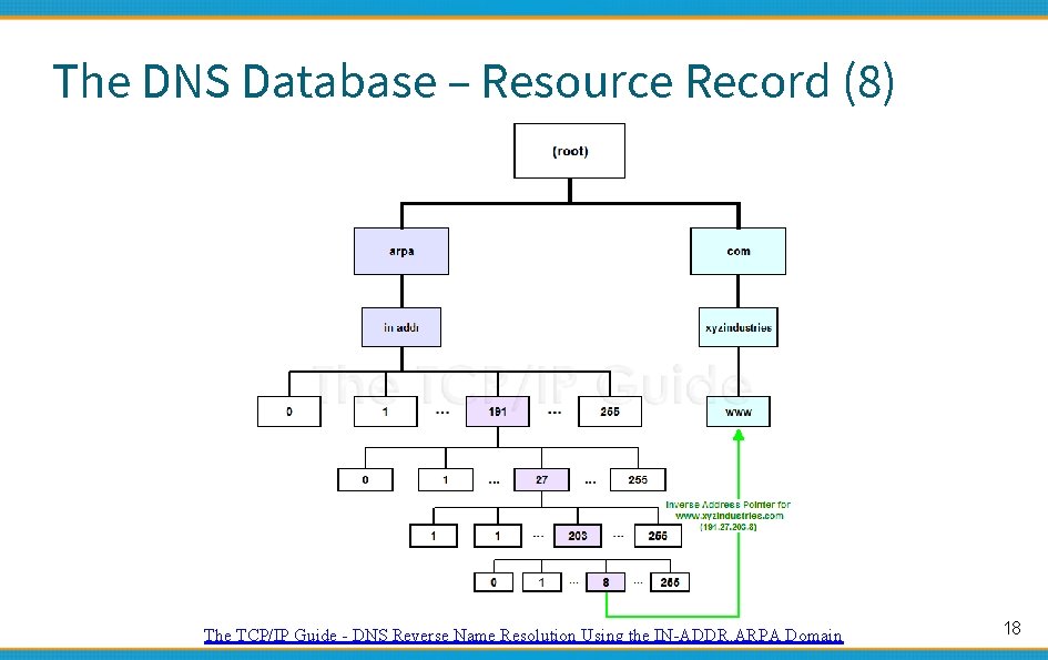 The DNS Database – Resource Record (8) The TCP/IP Guide - DNS Reverse Name