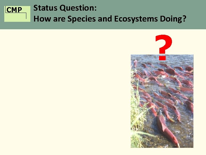 CMP Status Question: How are Species and Ecosystems Doing? ? 