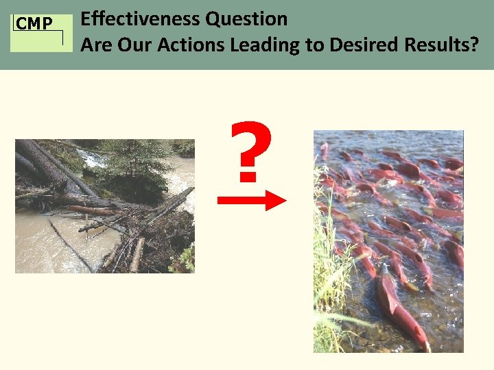 CMP Effectiveness Question Are Our Actions Leading to Desired Results? ? 
