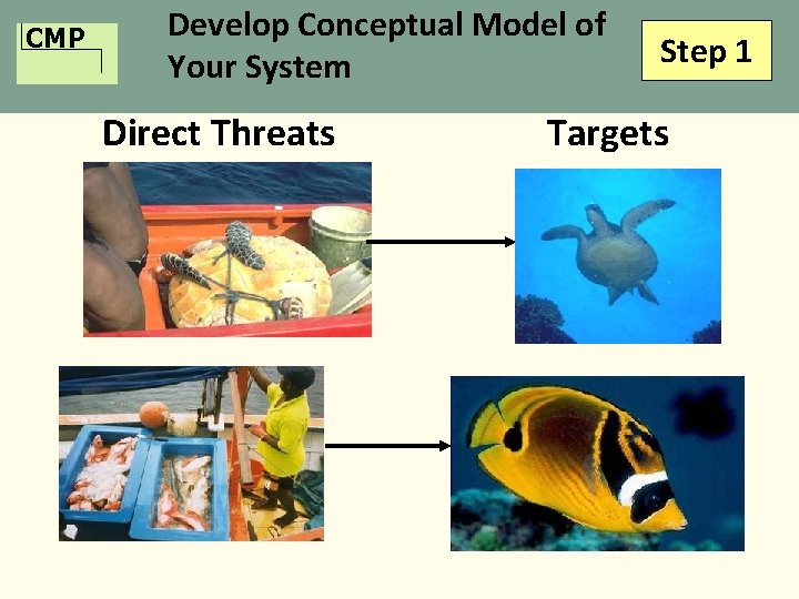 CMP Develop Conceptual Model of Your System Direct Threats Step 1 Targets 