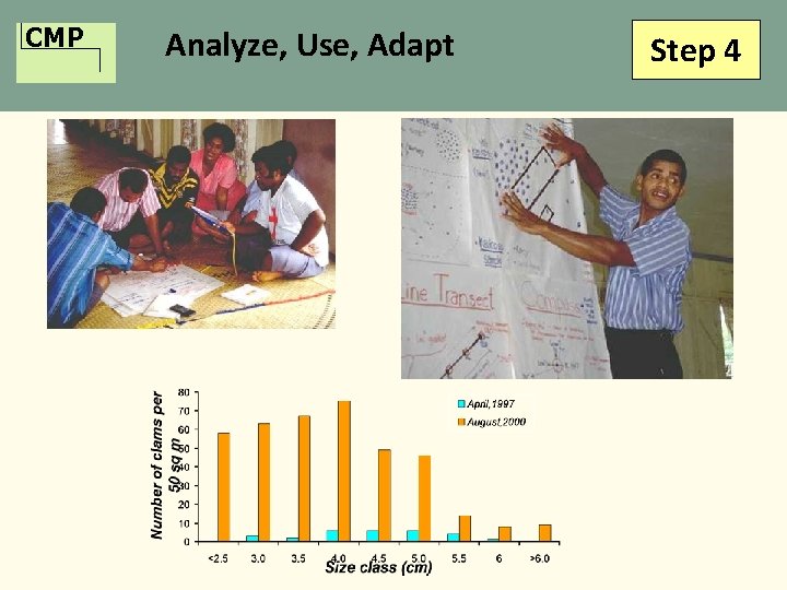 CMP Analyze, Use, Adapt Step 4 