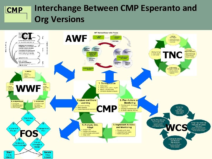 CMP Interchange Between CMP Esperanto and Org Versions CI AWF TNC WWF CMP FOS