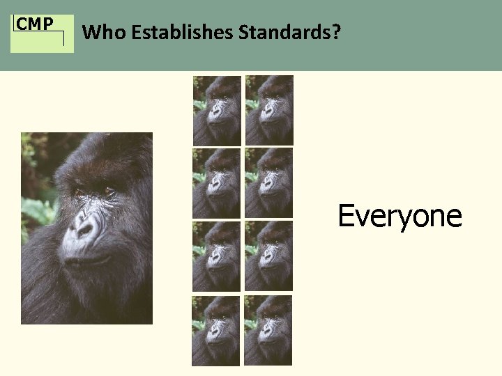 CMP Who Establishes Standards? Everyone 