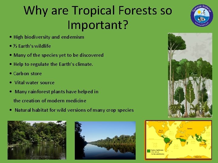 Why are Tropical Forests so Important? • High biodiversity and endemism • ½ Earth’s