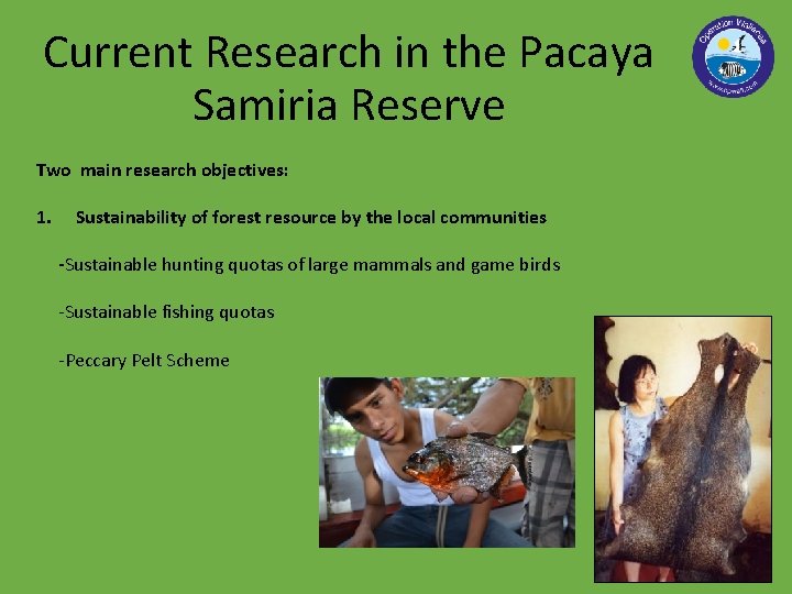 Current Research in the Pacaya Samiria Reserve Two main research objectives: 1. Sustainability of