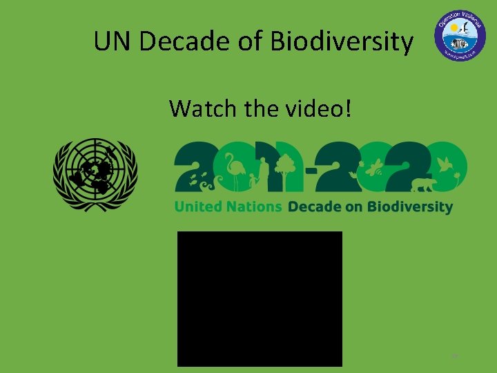 UN Decade of Biodiversity Watch the video! 29 