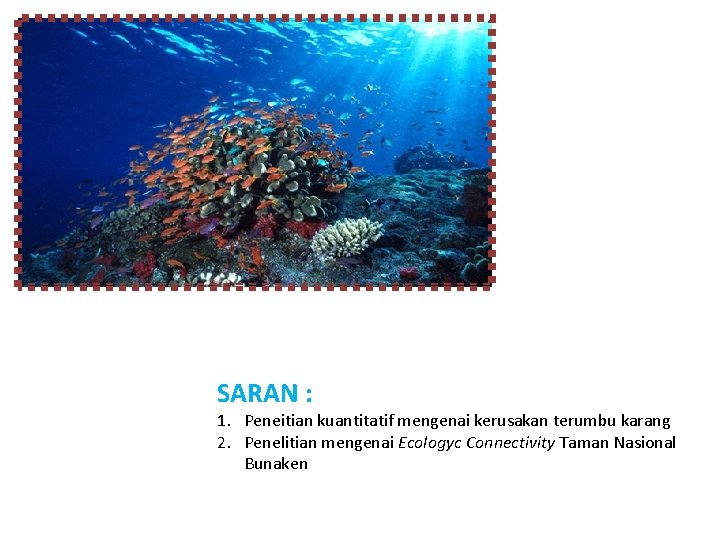 SARAN : 1. Peneitian kuantitatif mengenai kerusakan terumbu karang 2. Penelitian mengenai Ecologyc Connectivity