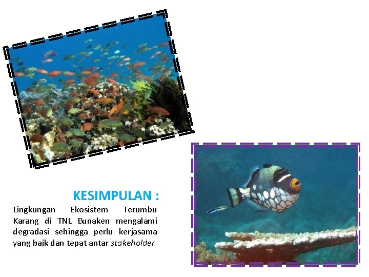 KESIMPULAN : Lingkungan Ekosistem Terumbu Karang di TNL Bunaken mengalami degradasi sehingga perlu kerjasama