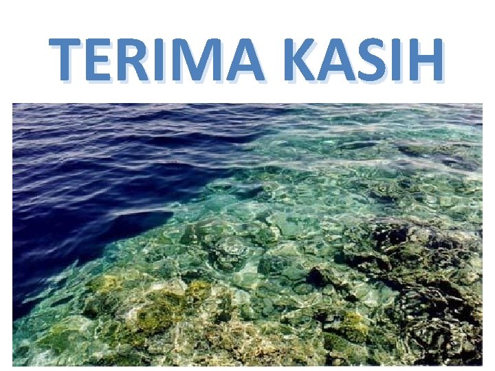 TERIMA KASIH 