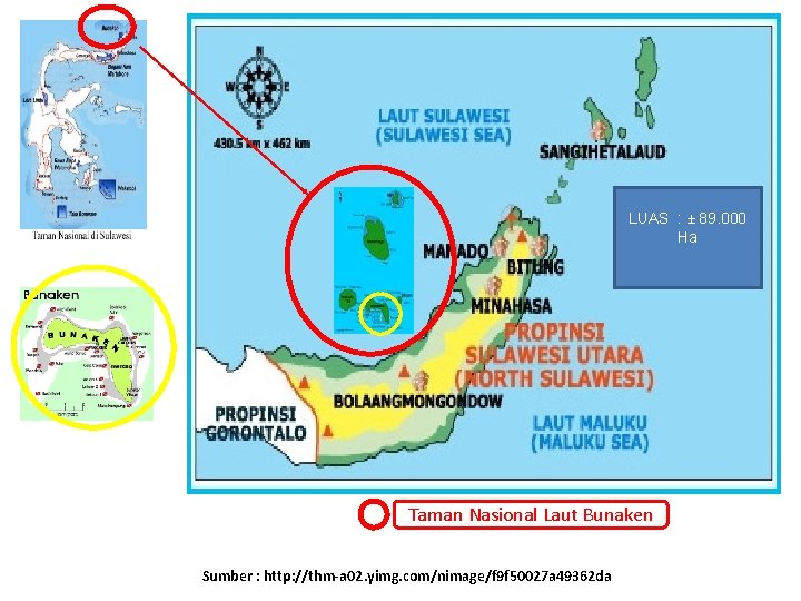 LUAS : ± 89. 000 Ha Taman Nasional Laut Bunaken Sumber : http: //thm-a